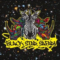 "All In" is the new EP by the South Shore rock and roll duo Black Star Safari.