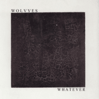 Album cover Wolvves