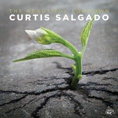 Curtis Salgado The Beautiful Lowdown