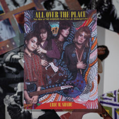 the bangles - all over the place, the rise and fall of the bangles from the LA underground book - eric m shade, review