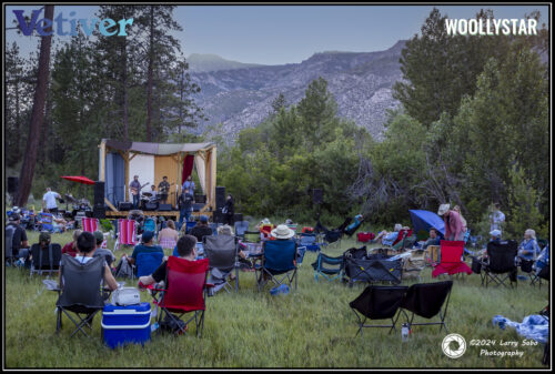 Woollystar Music Festival - Vetiver